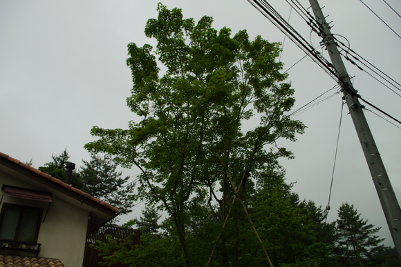 e0203442_10244784.jpg