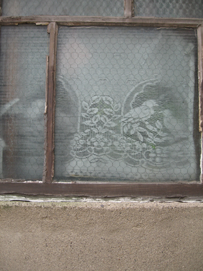 b0081843_1247134.jpg