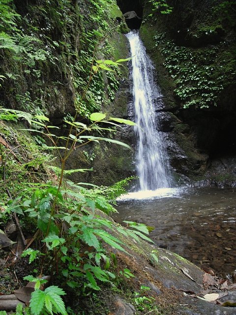 b0122448_21234671.jpg