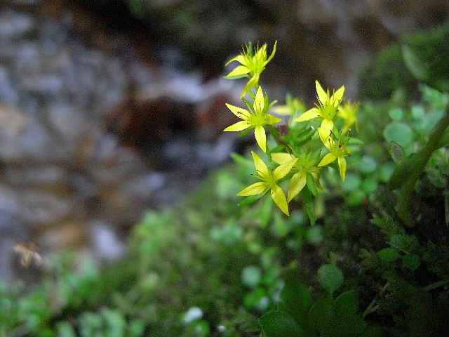 b0122448_2132126.jpg