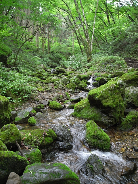 b0122448_21431991.jpg
