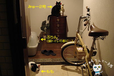 e0031853_5302720.jpg
