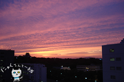 e0031853_530448.jpg