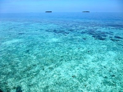 f0190653_10344844.jpg