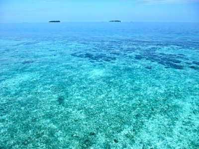 f0190653_1038951.jpg