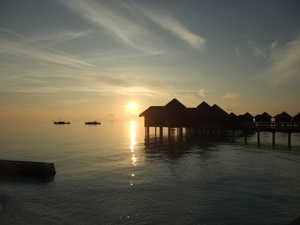 f0190653_16352227.jpg