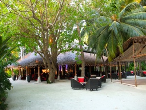 f0190653_16361898.jpg