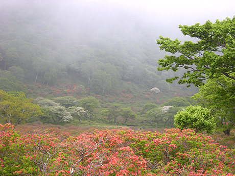 a0001354_2135892.jpg