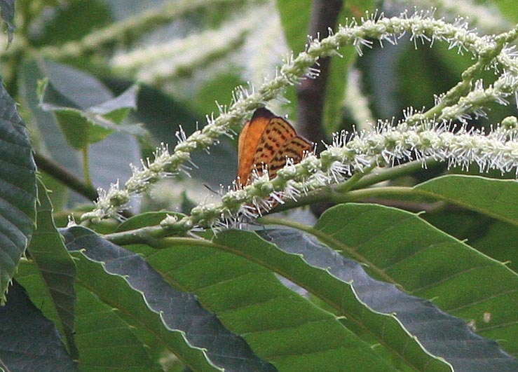 d0146854_20534317.jpg
