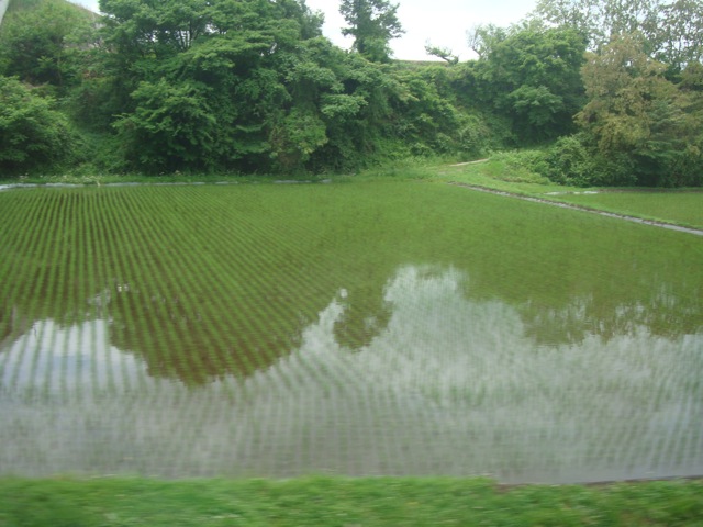 f0198556_21144750.jpg