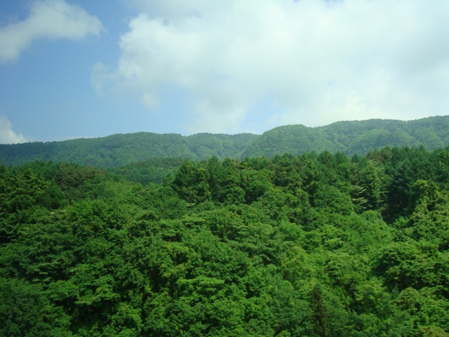 f0198556_2305437.jpg