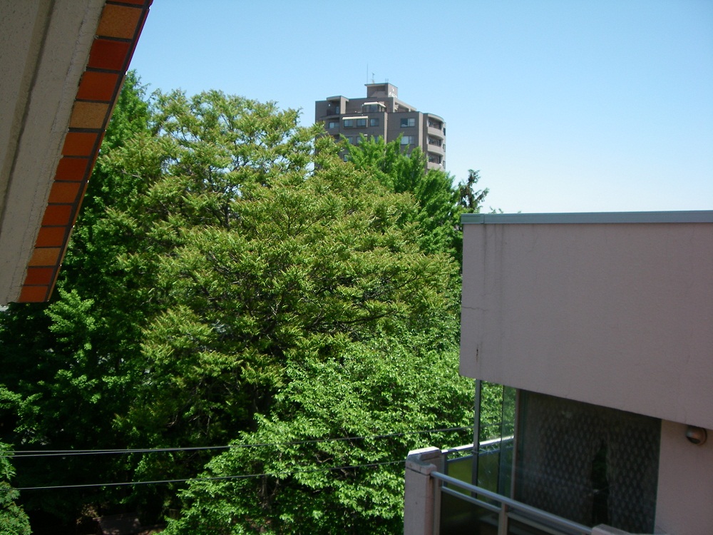 a0193457_20153360.jpg