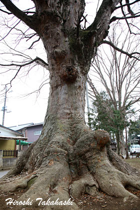 e0009760_17202138.jpg