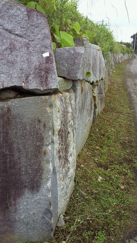 e0009760_20245333.jpg