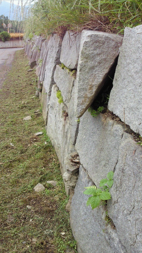 e0009760_20245378.jpg