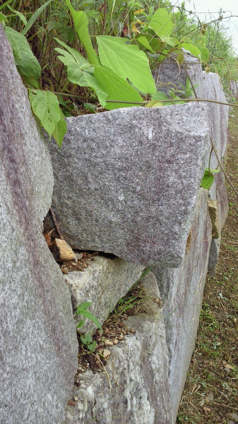 e0009760_2024538.jpg