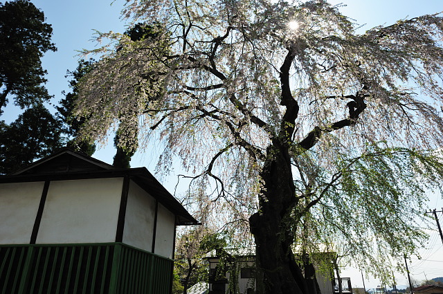 f0222161_22232989.jpg
