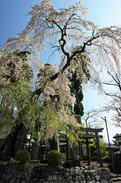 f0222161_2223990.jpg