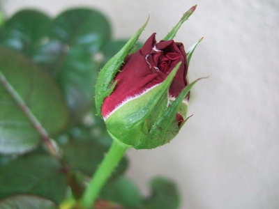 e0225164_640062.jpg