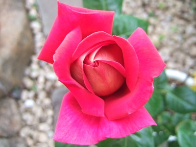 e0225164_913105.jpg