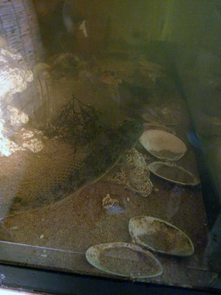 c0048265_21115211.jpg