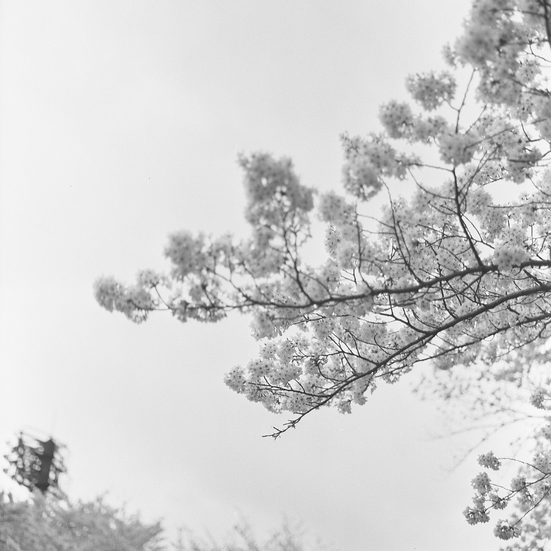 c0195570_22412354.jpg