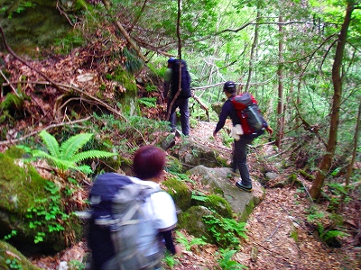 f0182173_21132149.jpg