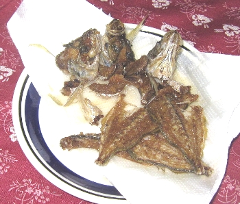 f0003283_1903860.jpg