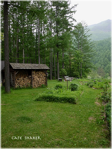 e0138787_1112321.jpg