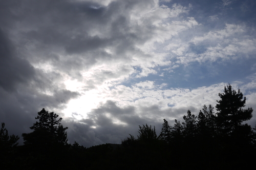 f0226293_1952246.jpg