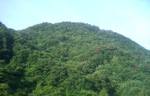 b0099994_6303887.jpg