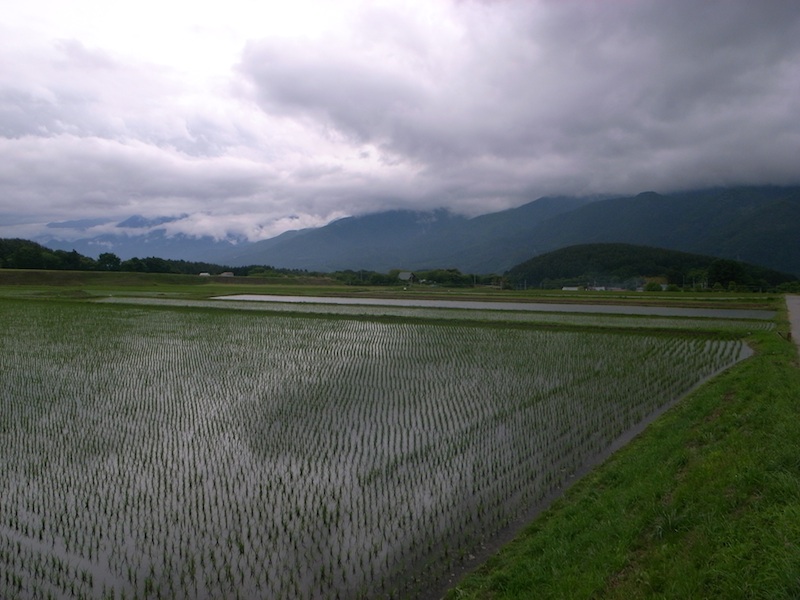 f0108399_20275916.jpg