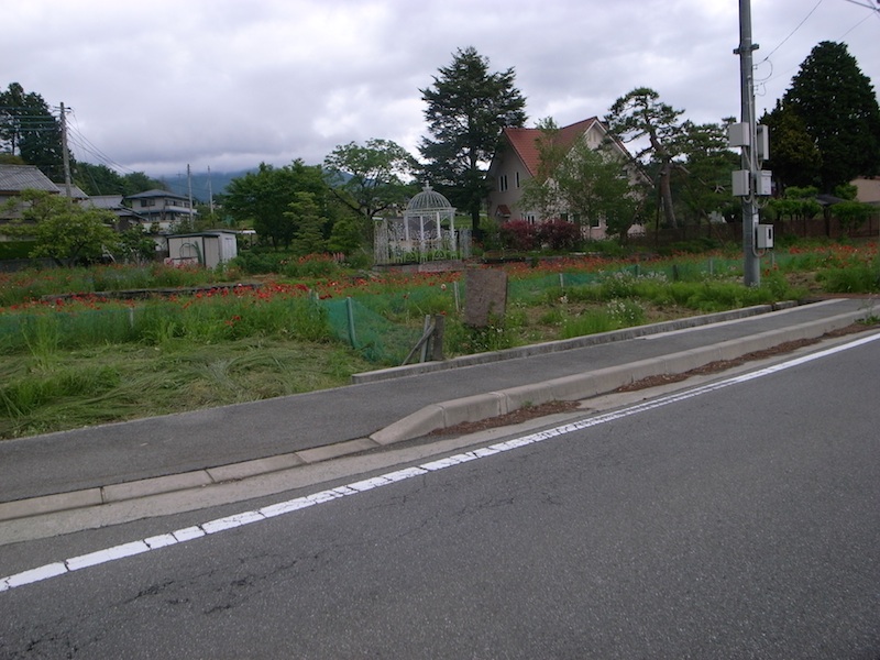 f0108399_2049726.jpg