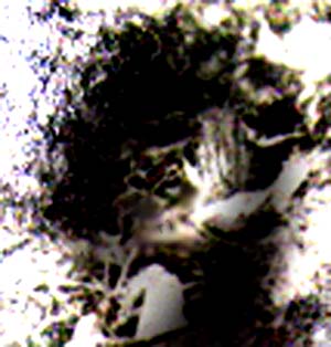e0103408_22105350.jpg