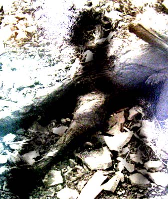e0103408_2228202.jpg