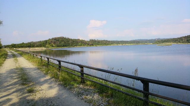 b0035611_19313188.jpg