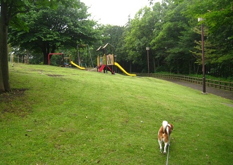 c0084117_160544.jpg