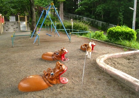 c0084117_1613178.jpg