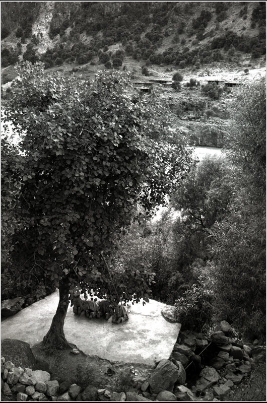b0226423_19372472.jpg