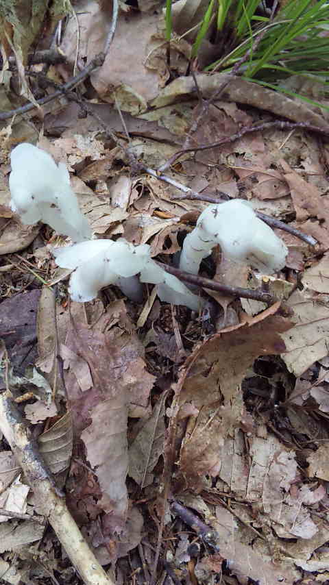 b0094025_13583086.jpg