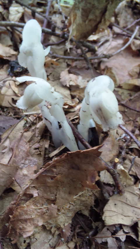 b0094025_13583095.jpg
