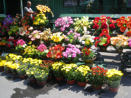 c0184125_694380.jpg