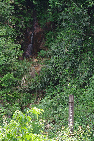 f0007926_1014742.jpg