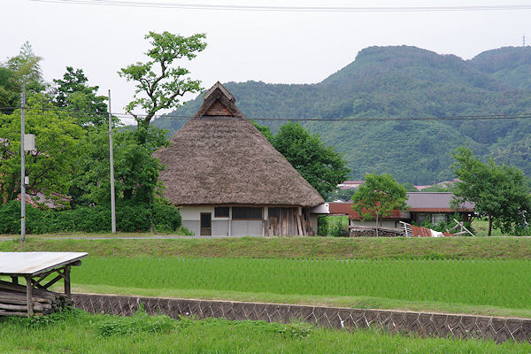 f0007926_10282371.jpg
