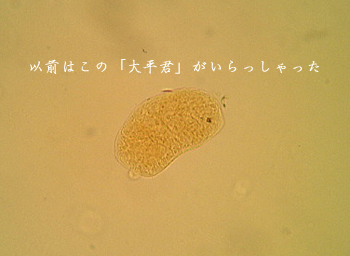 d0042827_0373714.jpg