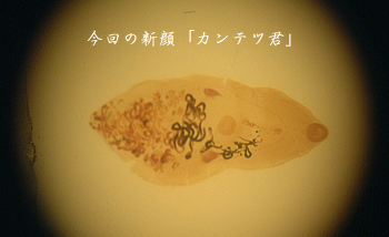 d0042827_0382358.jpg