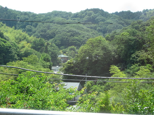 a0162635_1154418.jpg