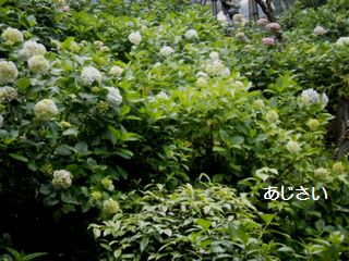 d0020136_9424893.jpg