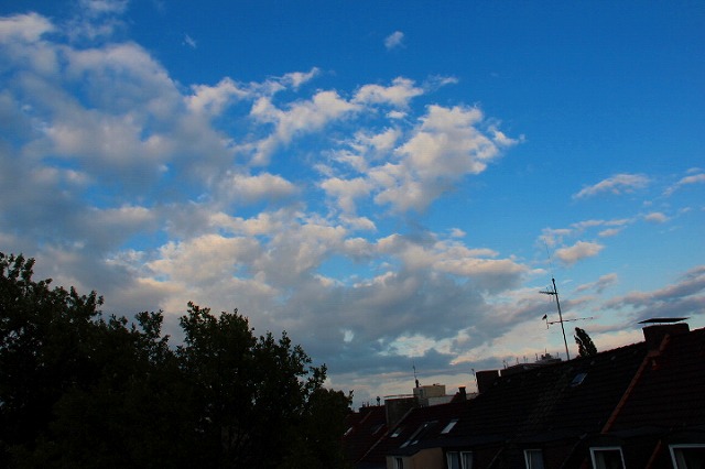 c0153740_4272040.jpg