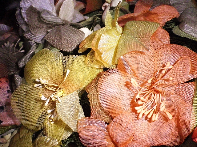 a0159652_22513545.jpg